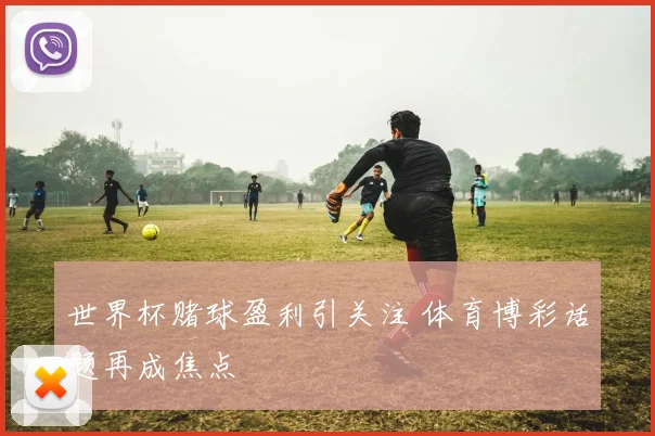 世界杯赌球盈利引关注 体育博彩话题再成焦点