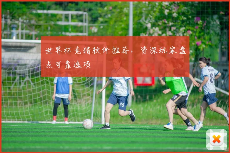 世界杯竞猜软件推荐,资深玩家盘点可靠选项