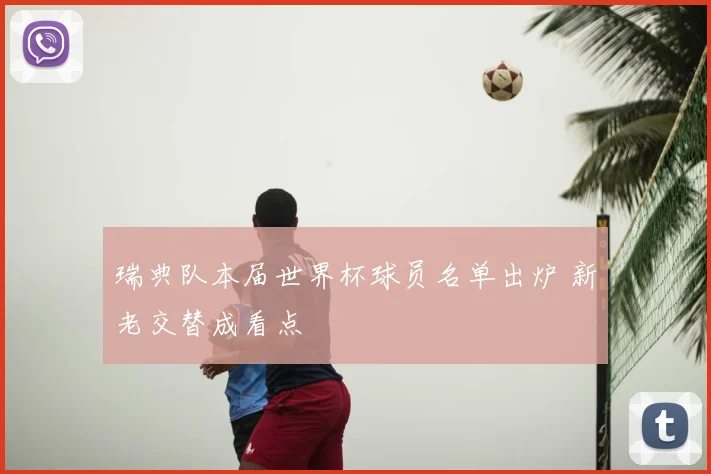 瑞典队本届世界杯球员名单出炉 新老交替成看点