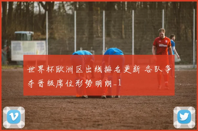 世界杯欧洲区出线排名更新 各队争夺晋级席位形势明朗_1
