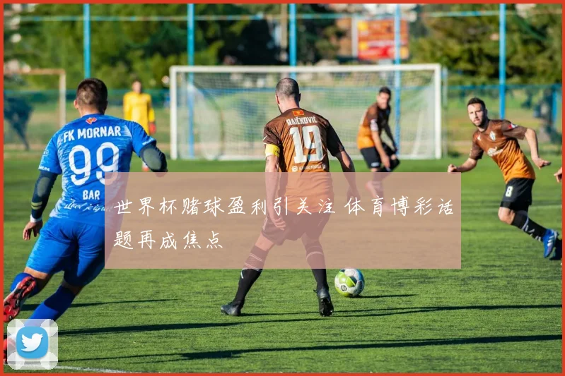 世界杯赌球盈利引关注 体育博彩话题再成焦点